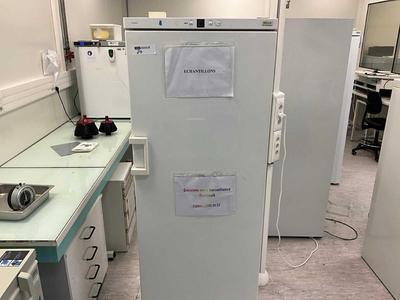 Diapositiva 1